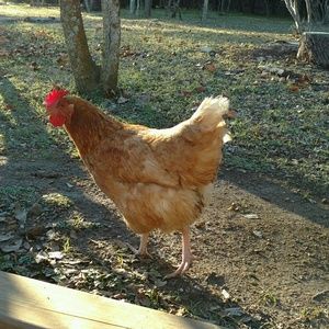 Meet your Posher, Rienna